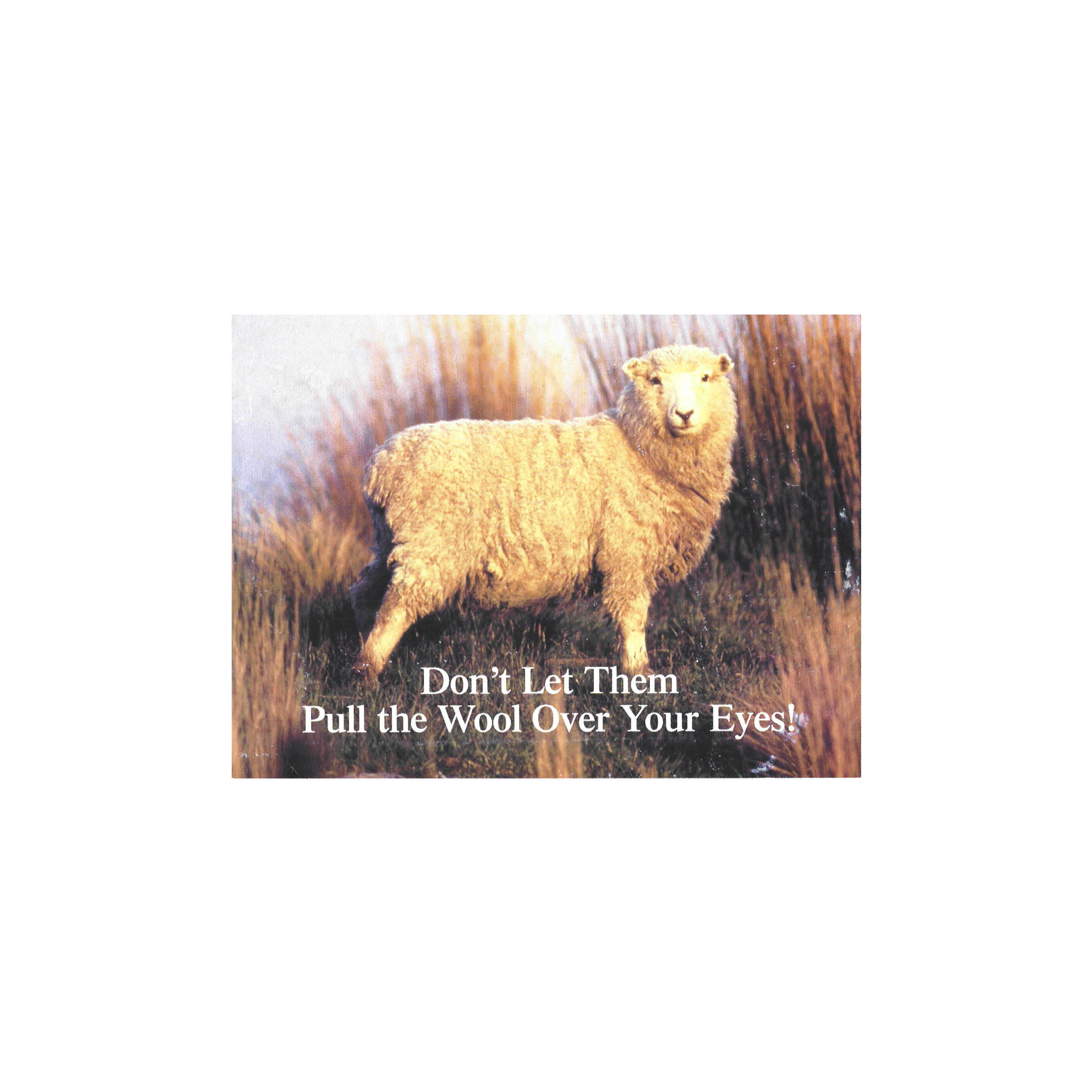 Are you a sheep or a goat ?