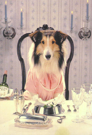 Ms. Bark